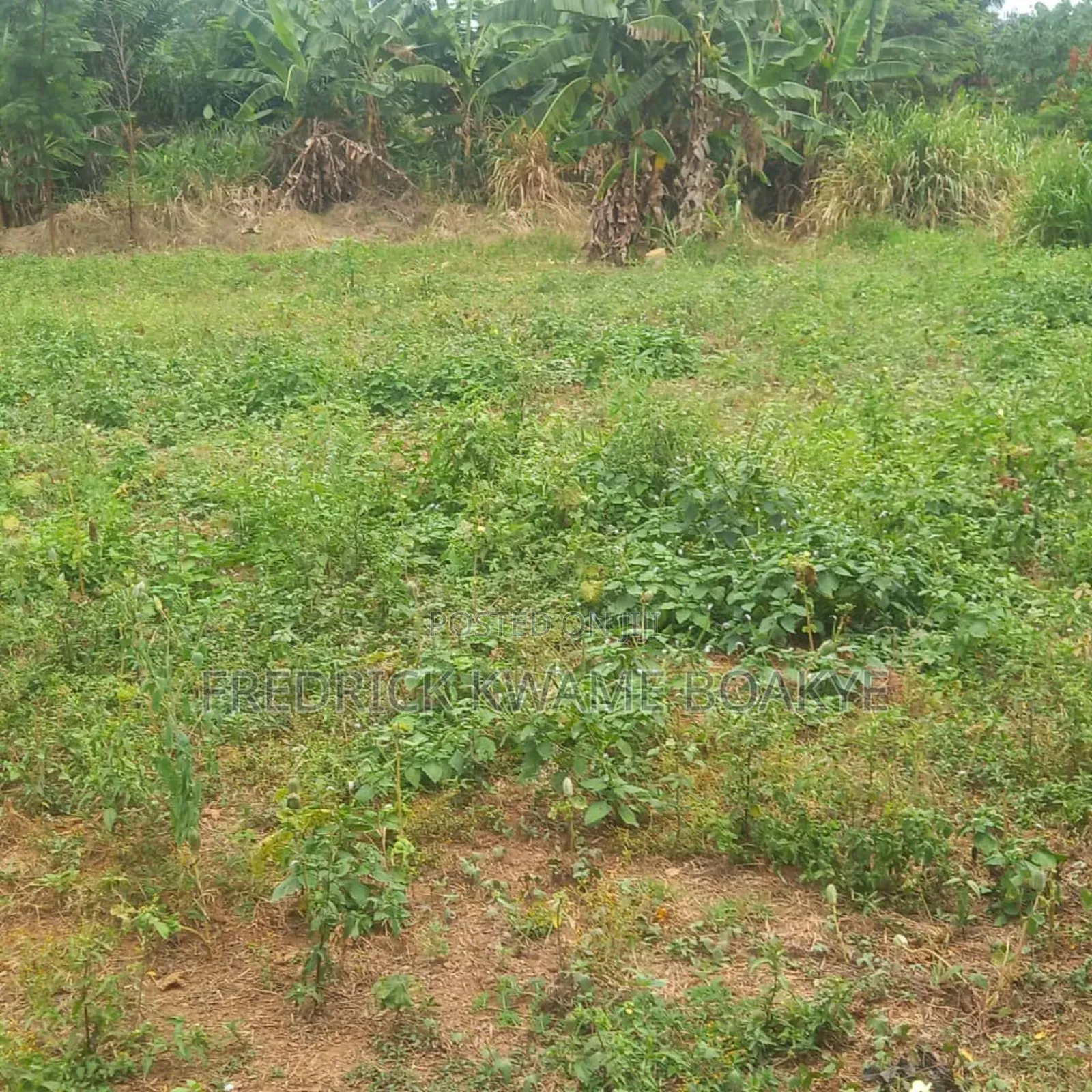 One Acre Land With Church for Sale at Kwadaso Estate