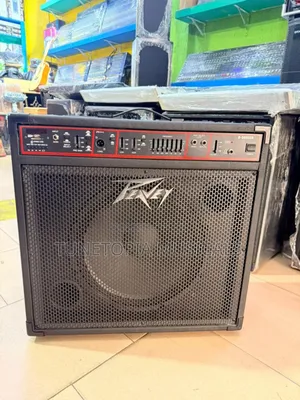 Peavey B-500usb Bass Combo Amplifier.