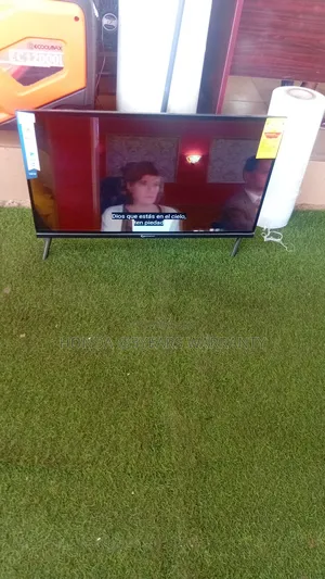 Dolphine Bay 32" Tv – Clear View Everyday
