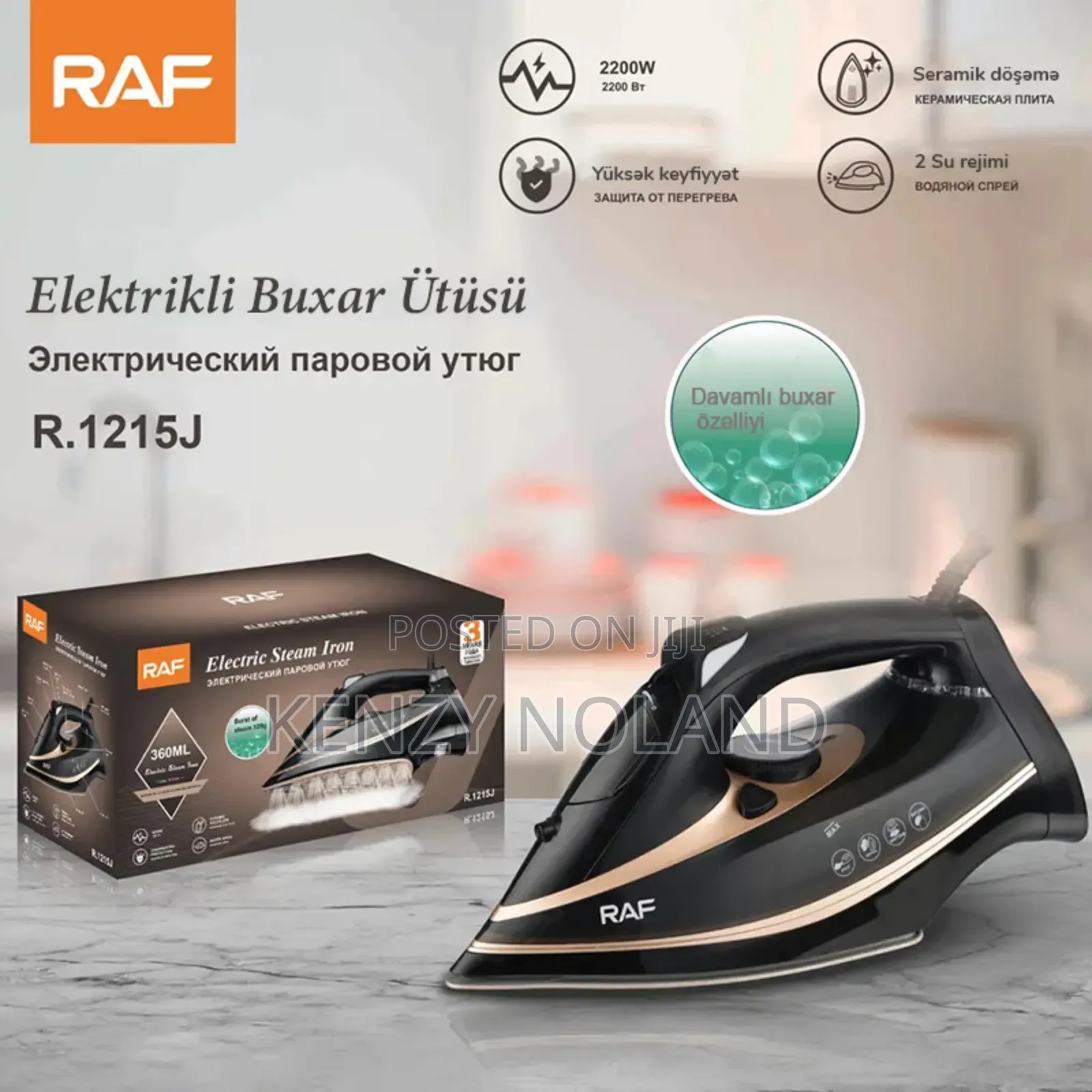 Electric Steam Iron