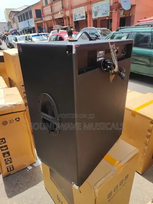 Peavey Bs-500 Bass Combo
