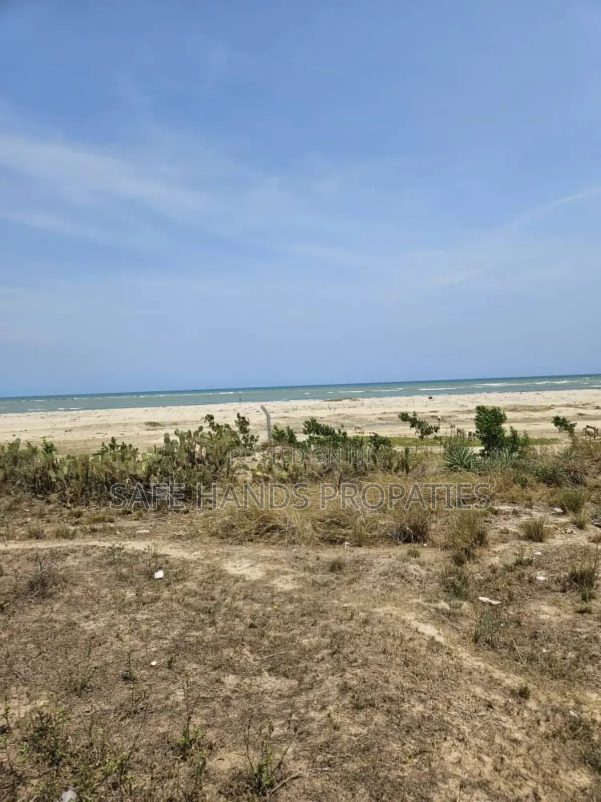 Beachland For Sale