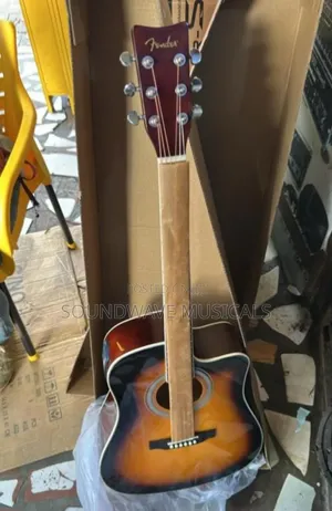 Fender Semi Acoustic