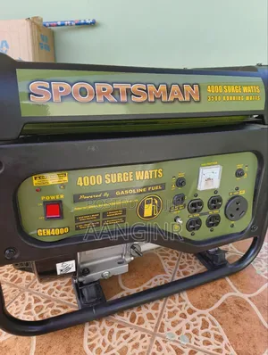 Sportsman Generator