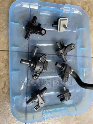 Toyota Camry, Corolla, Rav 4, 4 Runner, Tacoma Control Purge Valve