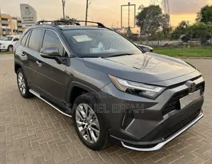 Toyota RAV4 Limited AWD 2024 Gray
