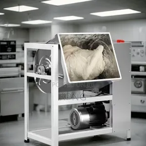 Flour Mixer ( Dough Kneading Machine)