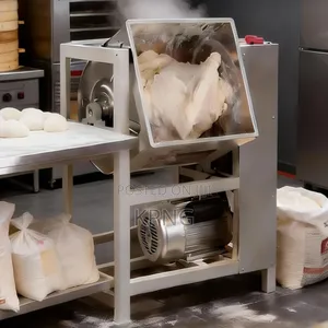 Flour Mixer ( Dough Kneading Machine)