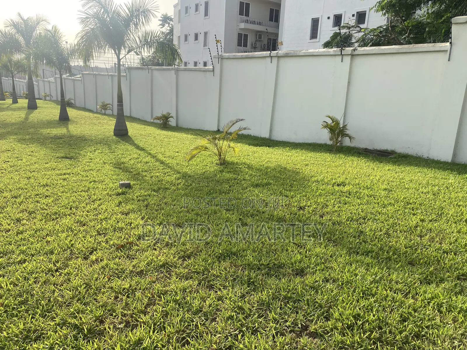 Green Grass and Flower