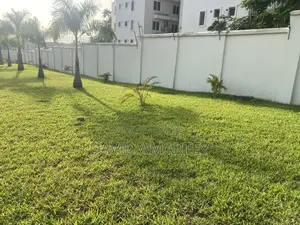 Green Grass and Flower