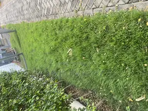 Green Grass and Flower