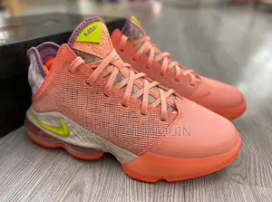 Lebron 19 Low Basketball Sneakers
