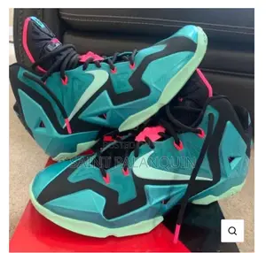 Nike Lebron 11 South Beach