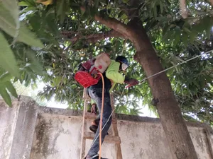 Me and You Fumigation With Cleantex
