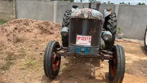 Fordson Mayor
