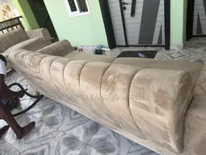 Upholstery and Carpet Cleaning