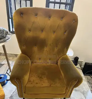 Professional Sofa Rug Cleaning Services