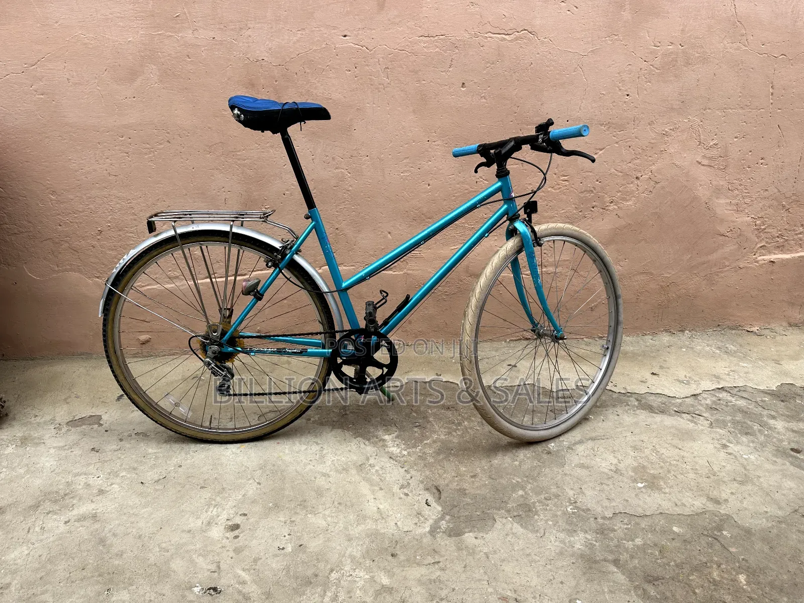 Mountain Fuji Bicycle