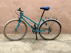 Mountain Fuji Bicycle
