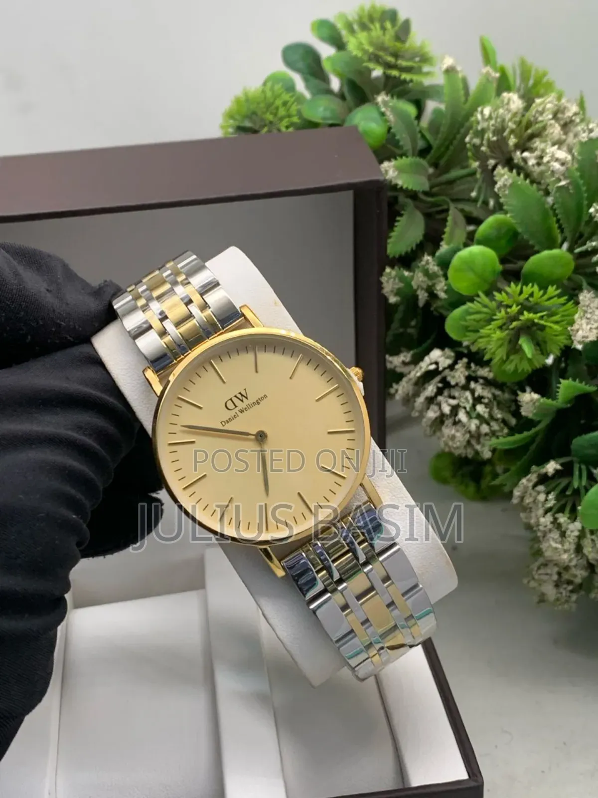 Daniel Wellington Watch in Box