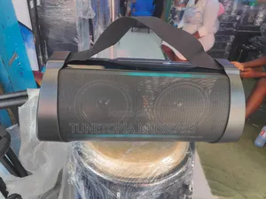 Pha Audio Dual Speaker Handheld Party Speaker