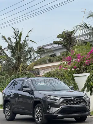 Toyota RAV4 Limited AWD 2023 Gray