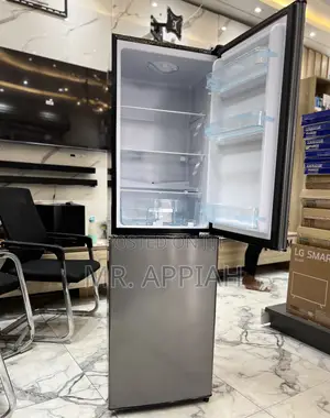 Premium Nasco Nasd2-20fl Bottom Mount Freezer Electric Fridge