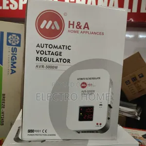 Good Brand Wall Mount Automatic 5000va H a Stabilizer