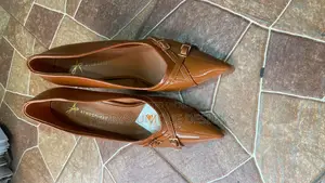 Radiance Luxe Pointed Heels – Brown