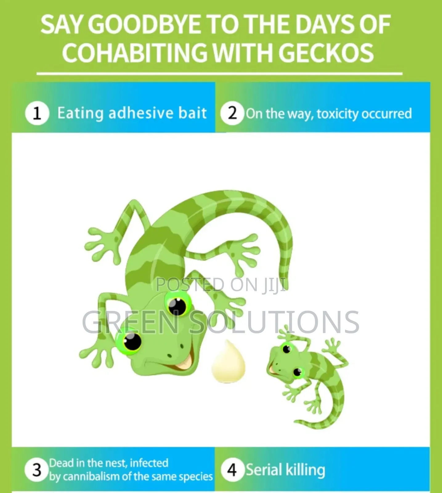 Wall Gecko Gel Bait