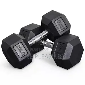 Pair of 20kg Home Gym Fitness Dumbbell