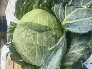 Buy Your Fresh Local Greener Cabbage