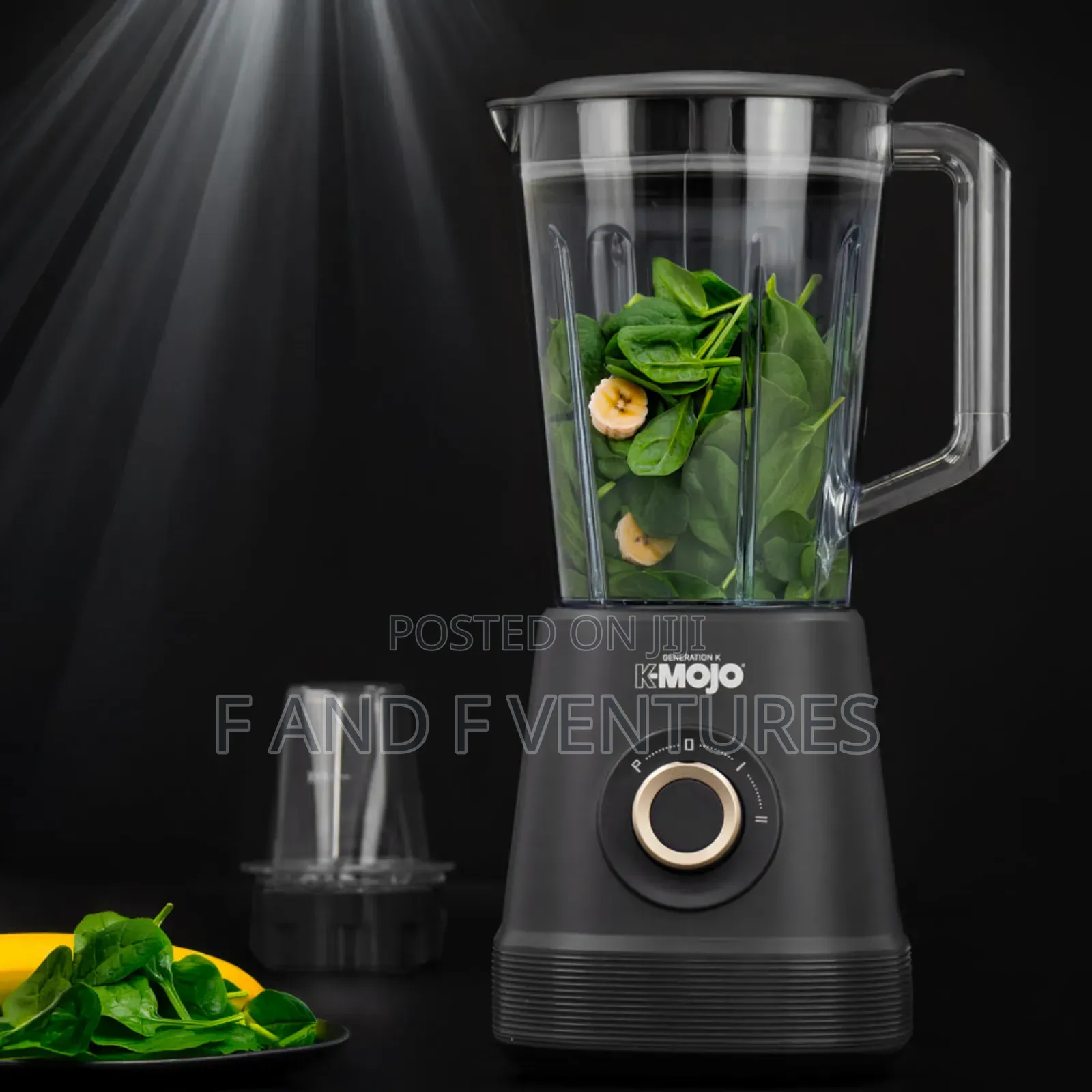 Sq Professional Plastic Jug Blender - Uk