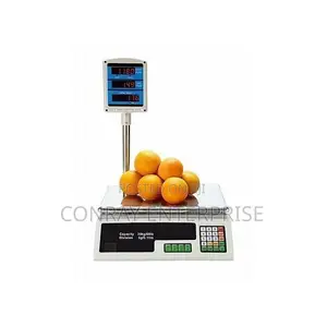 Digital Price Computing Scale.
