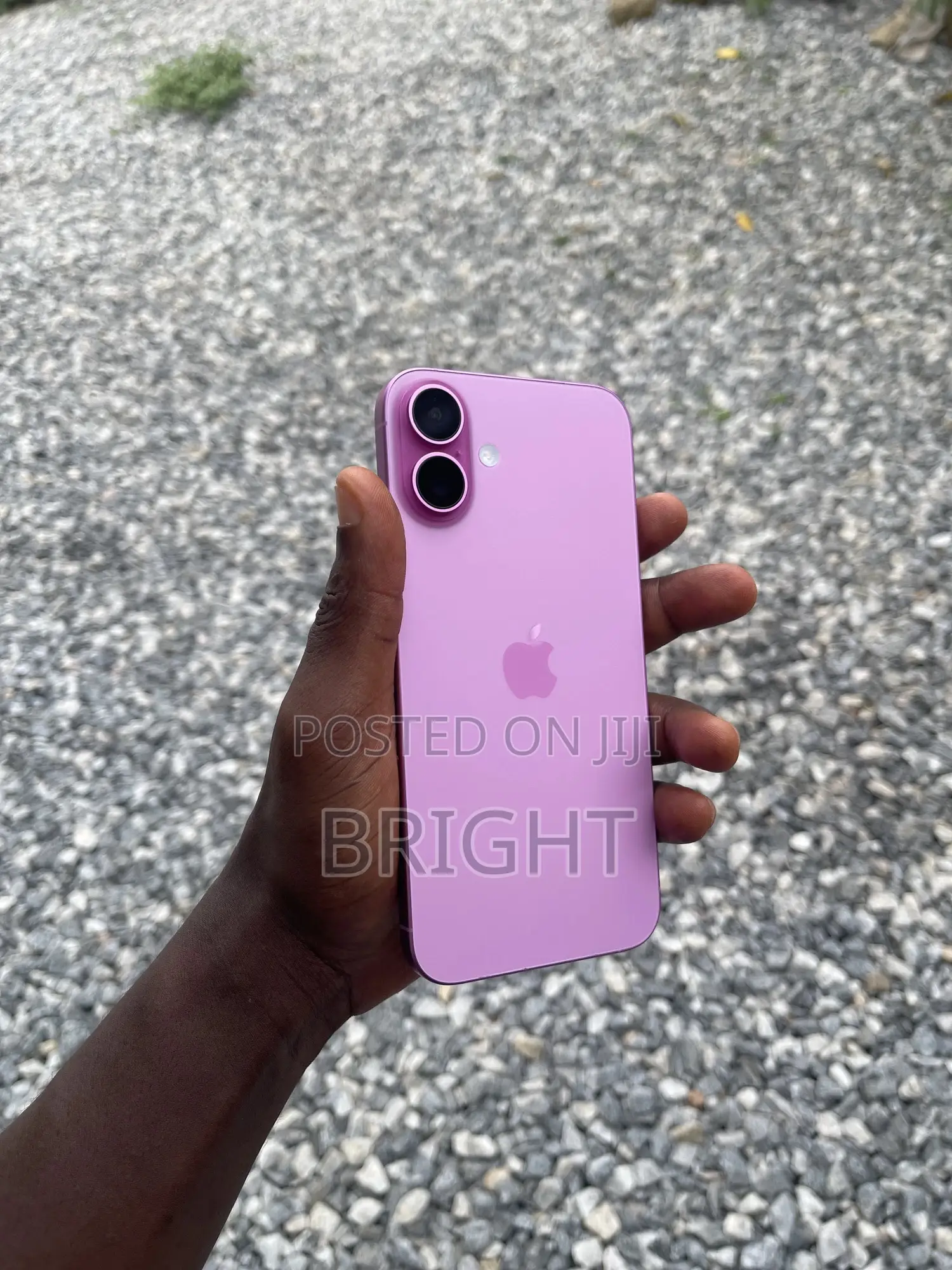 Apple iPhone 16 Plus 128 GB Pink