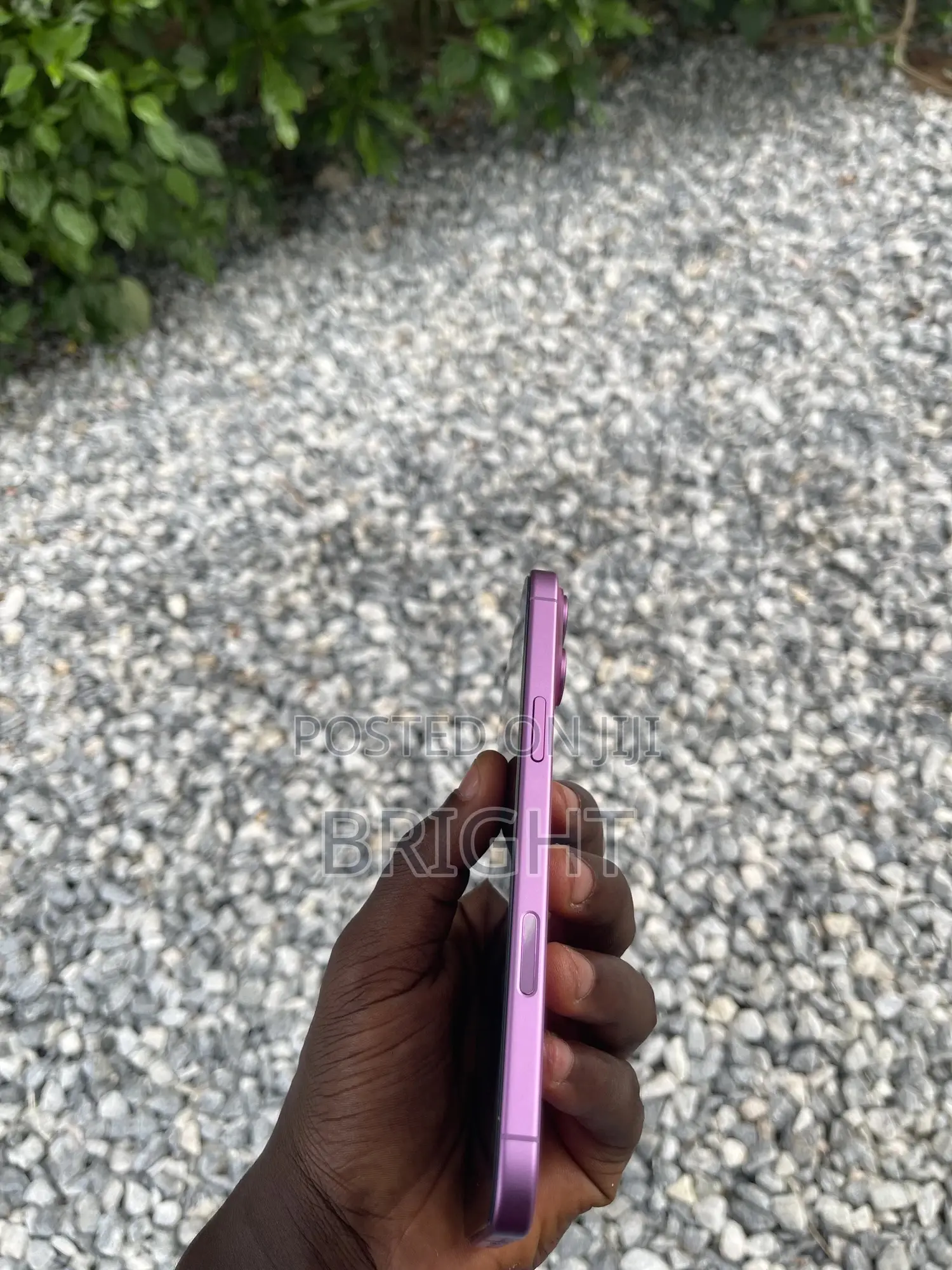 Apple iPhone 16 Plus 128 GB Pink
