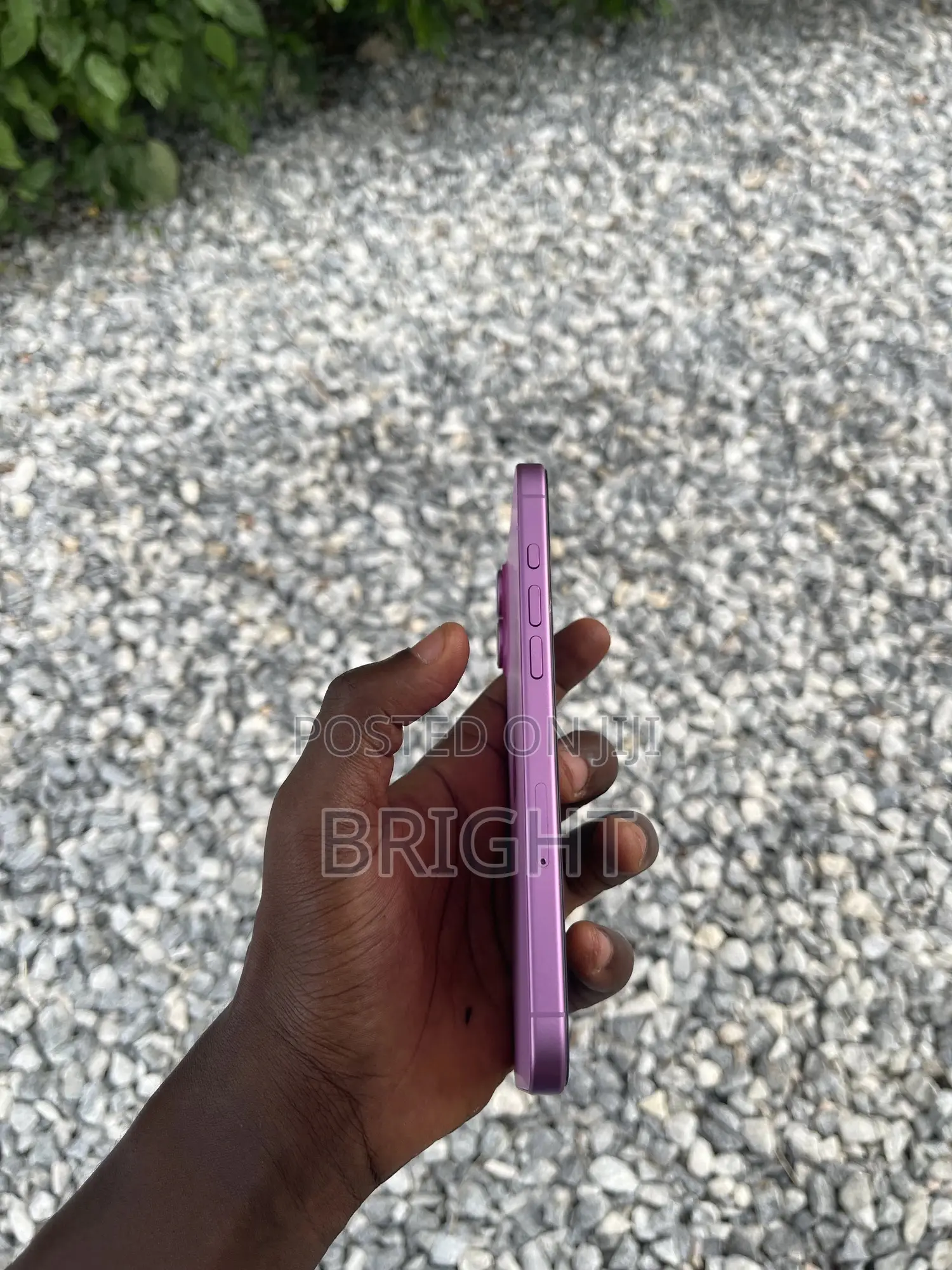 Apple iPhone 16 Plus 128 GB Pink