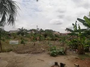 Double Plots 4sale Odineho Kwadaso