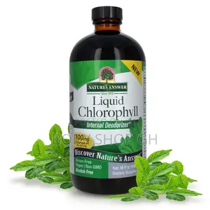 Nature's Answer Liquid Chlorophyll, 100 Mg, 16 Fl Oz (480 Ml)