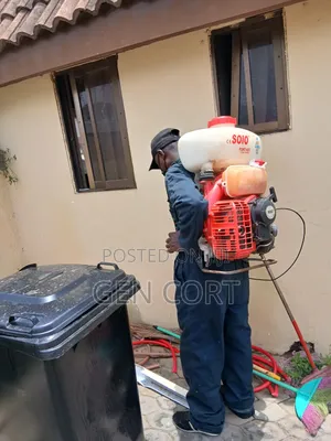 Kitchen and Living Area Fumigation