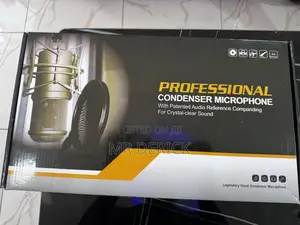 Professional Condenser Microphone/ Mic