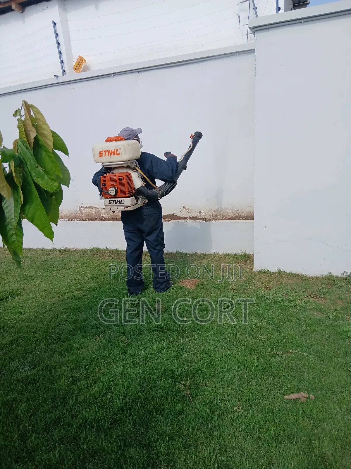 Fumigation and Pest Masters