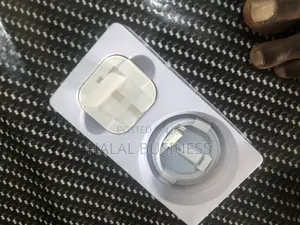 3-pin iPhone Charger