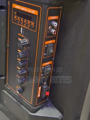 Quality Big Speakers