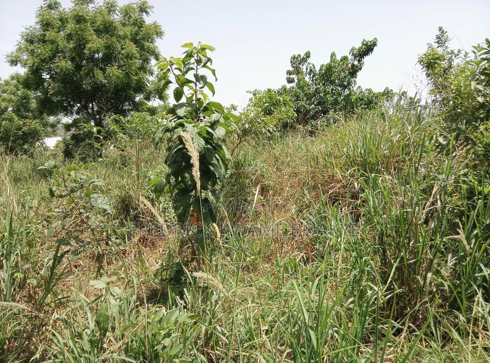 Plot of Land for Sale at Abuakwa