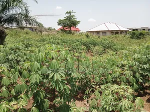 Half Plot of Land for Sale at Abuakwa DKC