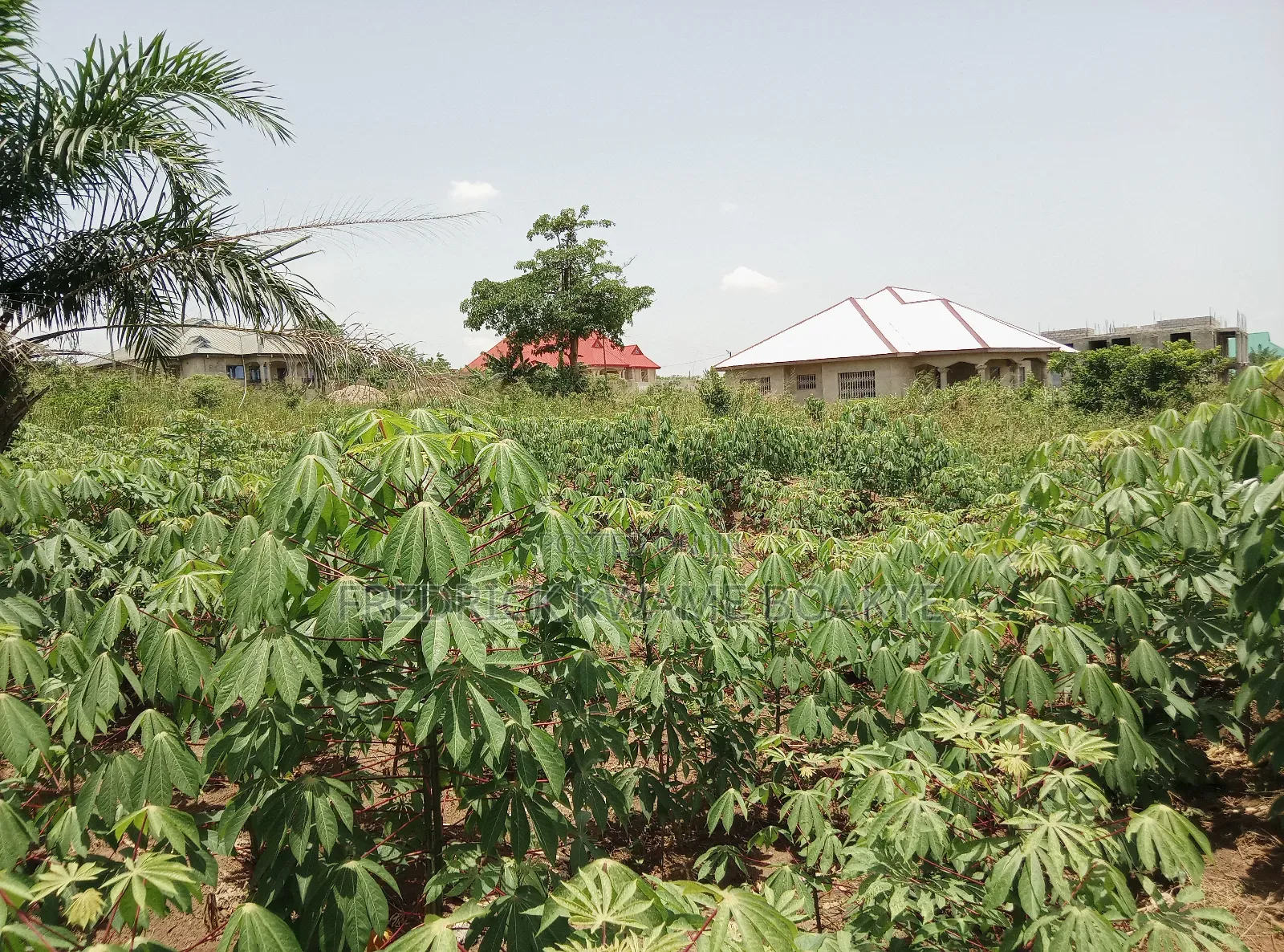 Half Plot of Land for Sale at Abuakwa DKC