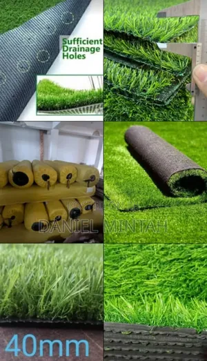 Carpet Grass