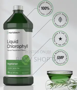 Horbäach Chlorophyll Liquid Drops | 100mg | 473ml - Internal Deodorant