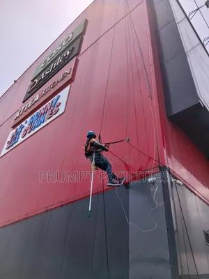 Professional Facade Cleaning Team
